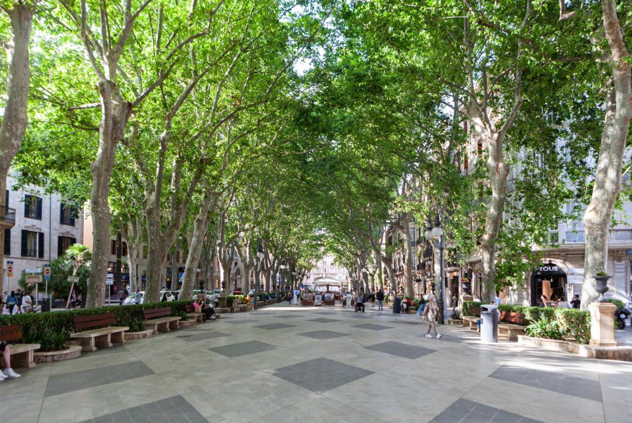 Nivia Born Boutique Hotel Palma Kültér fotó