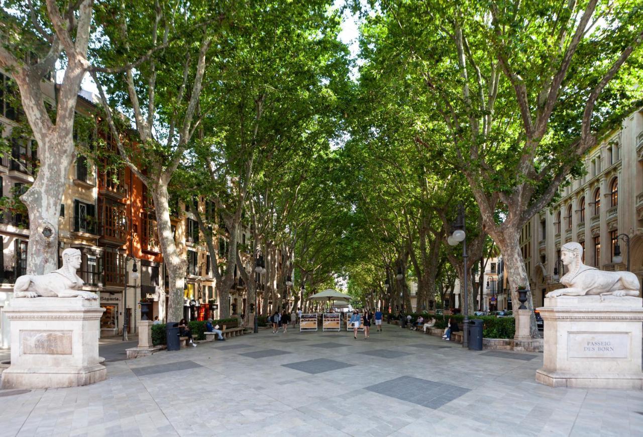 Nivia Born Boutique Hotel Palma Kültér fotó
